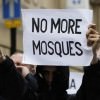 nomoremosques-vi
