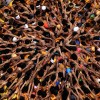 Indian youth make a human pyramid to reach and break the ‘Dahi Handi,’ an earthen pot filled with yogurt, as they celebrate Janamashtami, the birth anniversary of Lord Krishna in Mumbai, India.