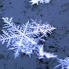 snowflake