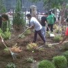 communityservice