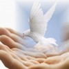 humanity2