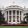 white house